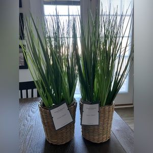 Threshold Faux Grass Plants Set of Two NWT